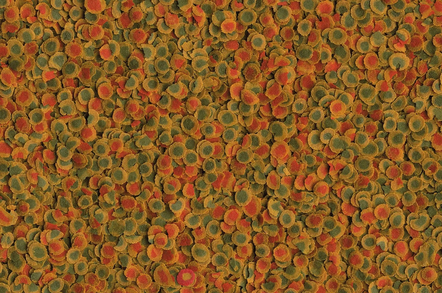 tetra-pro-energy-multi-crisps