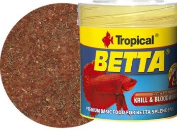 tropical-betta-plastivczi